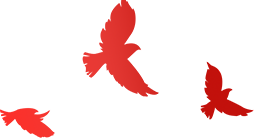 顺安“微爱行动”点亮更多人生